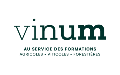 Programme VINUM